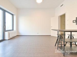 Pronájem bytu 1+kk, Brno, Opuštěná, 35 m2