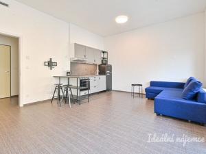 Pronájem bytu 1+kk, Brno, Opuštěná, 35 m2