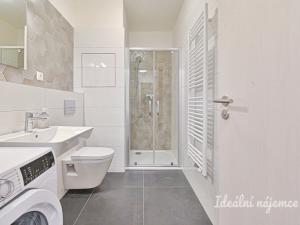 Pronájem bytu 1+kk, Brno, Opuštěná, 35 m2