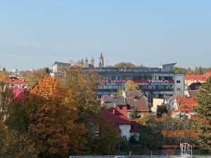 Prodej bytu 3+1, Hradec Králové, Třebechovická, 66 m2