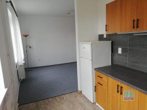 Pronájem bytu 1+1, Tachov, Hornická, 40 m2