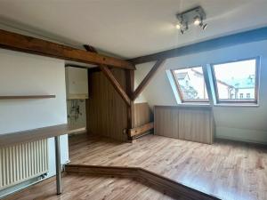 Prodej bytu 3+1, Cheb, Karlova, 178 m2
