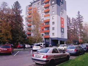 Pronájem bytu 1+kk, Valašské Meziříčí - Krásno nad Bečvou, Růžová, 24 m2