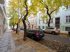 Pronájem bytu 3+1, Praha - Vinohrady, Uruguayská, 95 m2