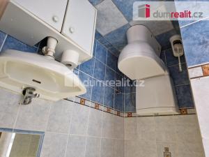 Pronájem rodinného domu, Vyšší Brod, Na Vyhlídce, 250 m2