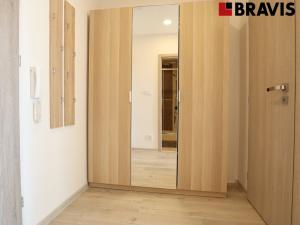 Pronájem bytu 1+kk, Brno - Starý Lískovec, Dunajská, 30 m2