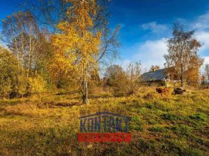 Prodej pozemku pro bydlení, Nová Pec - Nové Chalupy, 7051 m2