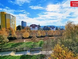 Prodej bytu 3+1, Brno - Žabovřesky, Záhřebská, 71 m2