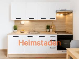 Pronájem bytu 1+1, Ostrava - Hrabůvka, Cholevova, 38 m2