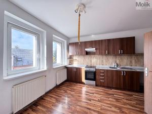 Pronájem bytu 2+kk, Háj u Duchcova, Kubátova, 40 m2