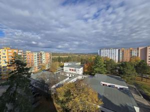 Prodej bytu 2+1, Plzeň, Karla Steinera, 58 m2