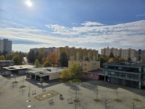 Prodej bytu 2+1, Plzeň, Karla Steinera, 58 m2