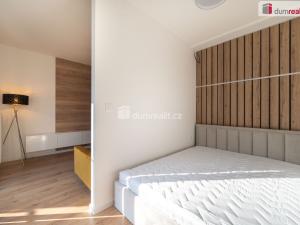 Pronájem bytu 1+kk, České Budějovice - České Budějovice 4, Vrbenská, 65 m2