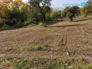 Prodej pozemku pro bydlení, Košťany - Střelná, 35279 m2