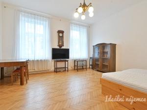 Pronájem bytu 3+1, Brno - Veveří, bratří Čapků, 100 m2