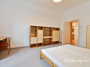 Pronájem bytu 3+1, Brno - Veveří, bratří Čapků, 100 m2