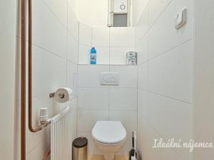 Pronájem bytu 3+1, Brno - Veveří, bratří Čapků, 100 m2