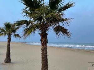 Prodej bytu 3+kk, Silvi,Itálie, 75 m2