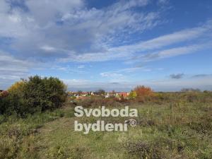 Pronájem pozemku, Holubice, U Hasičárny, 20330 m2