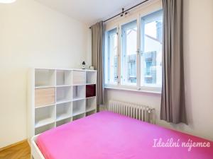 Pronájem bytu 1+kk, Praha - Vinohrady, Sobotecká, 18 m2