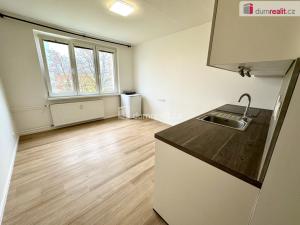 Pronájem bytu 1+kk, Ostrov, Jungmannova, 20 m2