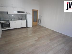 Pronájem bytu 1+kk, Plzeň - Jižní Předměstí, Raisova, 30 m2