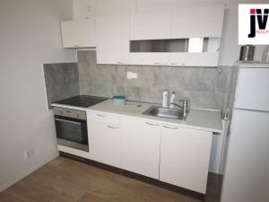 Pronájem bytu 1+kk, Plzeň - Jižní Předměstí, Raisova, 30 m2