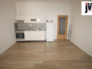 Pronájem bytu 1+kk, Plzeň - Jižní Předměstí, Raisova, 30 m2