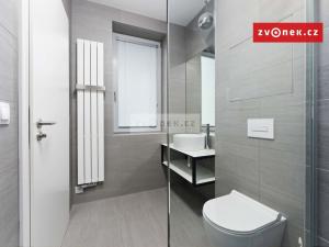 Pronájem bytu 1+kk, Zlín, Lorencova, 28 m2