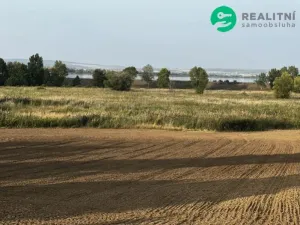 Prodej pole, Pavlov, 6292 m2