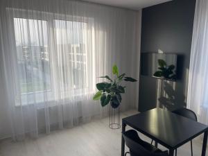 Prodej bytu 1+kk, Olomouc - Nová Ulice, Hněvotínská, 34 m2