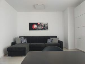 Prodej bytu 1+kk, Olomouc - Nová Ulice, Hněvotínská, 34 m2