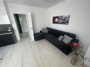 Prodej bytu 1+kk, Olomouc - Nová Ulice, Hněvotínská, 34 m2