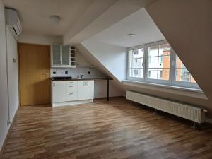 Pronájem bytu 1+kk, Plzeň, Boettingerova, 30 m2