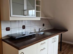 Pronájem bytu 1+kk, Plzeň, Boettingerova, 30 m2