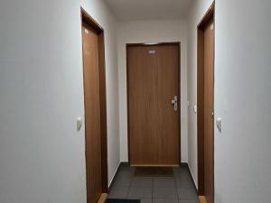 Pronájem bytu 1+kk, Plzeň, Boettingerova, 30 m2