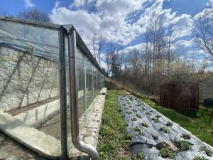 Prodej chaty, Tachov, 602 m2