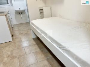 Pronájem bytu 1+kk, Praha - Žižkov, Spojovací, 11 m2