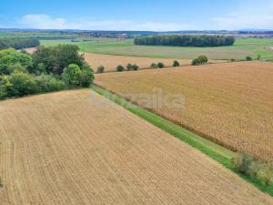 Prodej zemědělské usedlosti, Bílý Újezd - Hroška, 873 m2