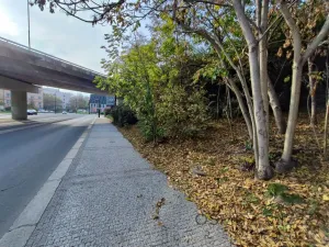 Pronájem komerčního pozemku, Praha, 148 m2