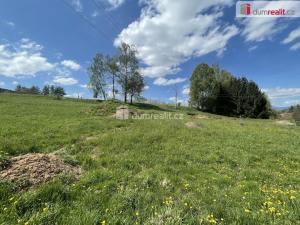 Prodej pozemku pro bydlení, Staré Buky - Prostřední Staré Buky, 1430 m2