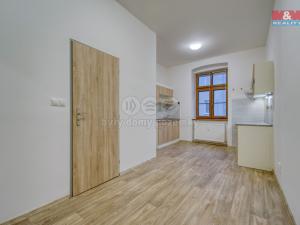 Pronájem bytu 2+kk, Plzeň - Jižní Předměstí, Havlíčkova, 43 m2