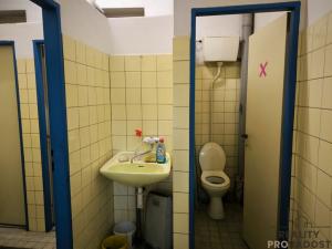 Prodej rodinného domu, Dnešice - Černotín, 268 m2