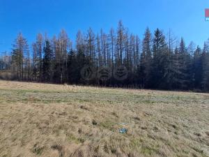 Prodej pozemku pro bydlení, Václavov u Bruntálu - Horní Václavov, 742 m2