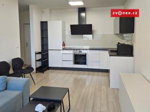 Pronájem bytu 2+kk, Brno - Štýřice, Vídeňská, 48 m2