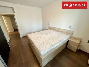 Pronájem bytu 2+kk, Zlín, Santražiny, 61 m2