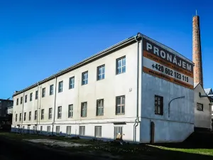 Pronájem výrobních prostor, Hodonín, Bratislavská, 2800 m2