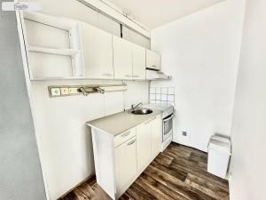 Prodej bytu 1+kk, Trnovany, 31 m2