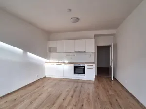 Pronájem bytu 3+kk, Praha - Břevnov, Bělohorská, 76 m2