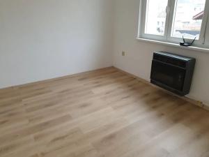 Prodej bytu 1+1, Novosedlice, Drahénská, 28 m2